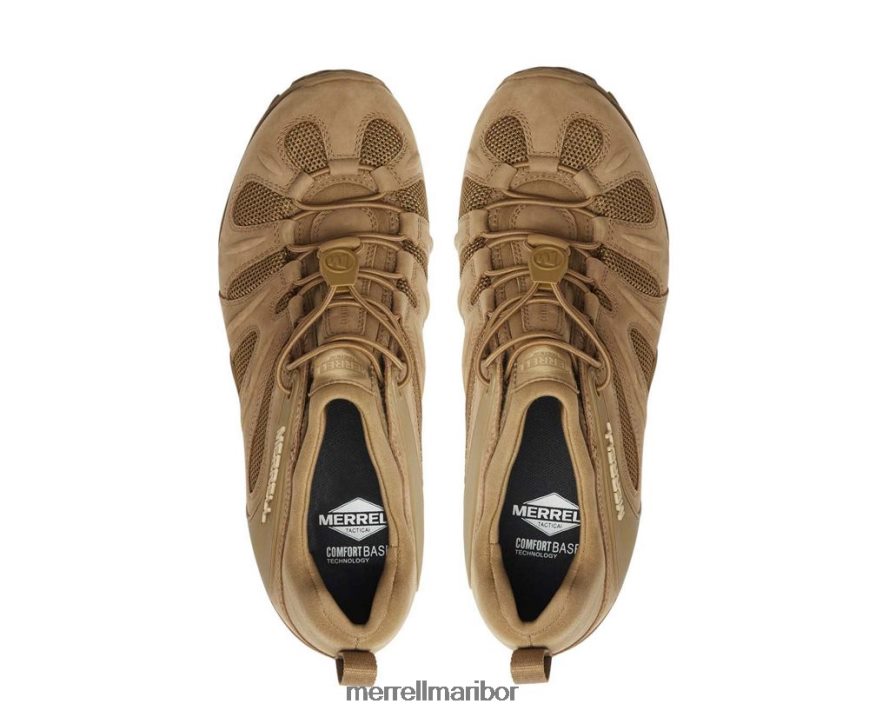 cham 8 stretch tactical (j099407) 840442480 kojot Merrell