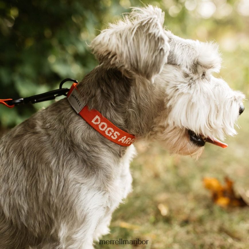 pasja ovratnica (jaf26691-629) 840442267 poinciana Merrell