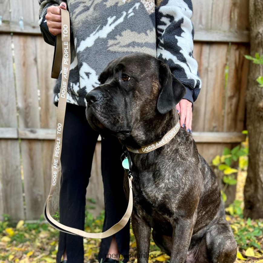 pasji povodec (jaf26689-176) 840442460 sepia odtenek Merrell